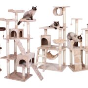 cat tree