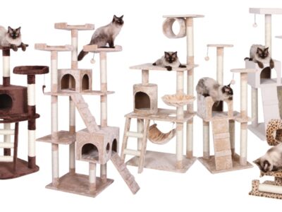 cat tree