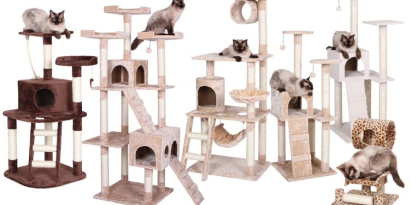 cat tree